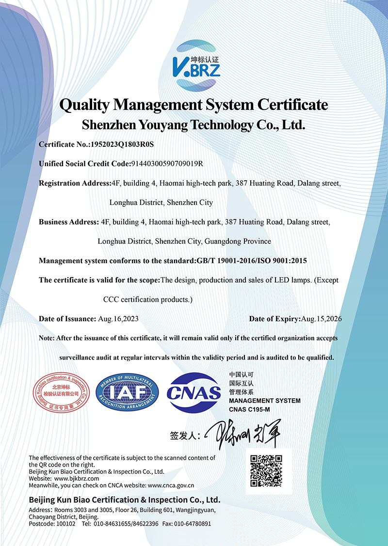 ISO 9001